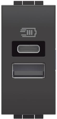 Bticino L4191AC Caricatore USB con Due Ingressi Tipo A E C, da Installare nella Placca Livinglight, per Ricaricare un Dispositivo Elettronico Fino a 15W o Due Dispositivi Assieme, 1 Modulo, Antracite