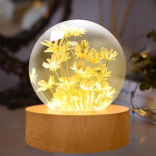 YATOSEEN Lampada a Sfera di Cristallo con Fiore Perpetuo, Luce Notturna D'Atmosfera da 6 cm con Base in Legno, Regalo di Decorazione per la Scrivania per Adulti o Bambini