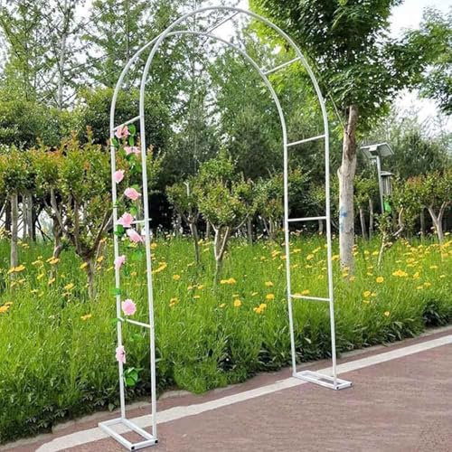 WCQSYY Arche De Jardin en Métal 120Cm 140Cm 240Cm 300Cm 350Cm Large Arche De Mariage Arceau À Rosiers Plante Grimpantes, Arche À Rosiers Exterieur Arche De Jardin,Noir,W2.4M*H2.2M