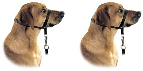 HUNTER Ausbildungsgeschirr Follow Me L (Packung mit 2)