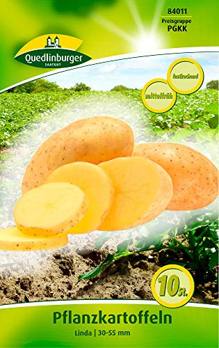 Quedlinburger 84011 Kartoffel Linda (10 Stück) (Pflanzkartoffeln)