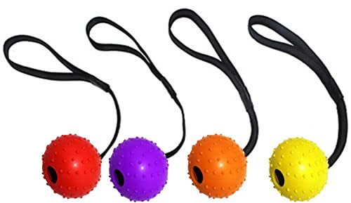 Fayemint 4 Piezas Pelota con Cuerda，Pelota con Cuerda para Perros, Perro Lanzador de Bola Interactiva para Mascotas Jugando Ejercicio de Entrenamiento