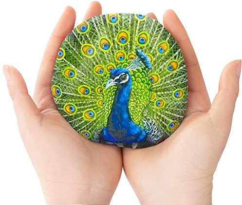 ROCART 6 Ultra Große 10-13cm Flache Steine zum Bemalen, Glatte Flusssteine als Malzubehör für Freundlichkeitssteine, Kunsthandwerk, Dekoration