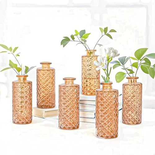 6 Stück Diamant Vasen Knospen Deko Vintage Glas für Blumen, Boho-Pampasgras Dekor Geprägte Rustikale für Tischdeko Hochzeiten Partydekorationen (Bernstein)