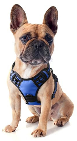 Funfox Hundegeschirr Kleine Hunde Anti Zug Welpengeschirr Einstellbar Hundegeschirr Antiziehgeschirr für Mittelgroße Hunde Brustgeschirr Hund Atmungsaktiv No Pull Dog Harness Rot S