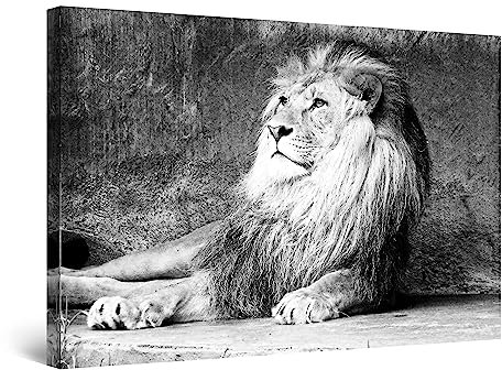 Startonight Quadro su Tela Bianco e Nero Re Leone, Stampe Incorniciato e Pronta da Appendere Design Moderno Arredamento Arte Fotografia Grande Formato 80 x 120 cm Luminoso al Buio