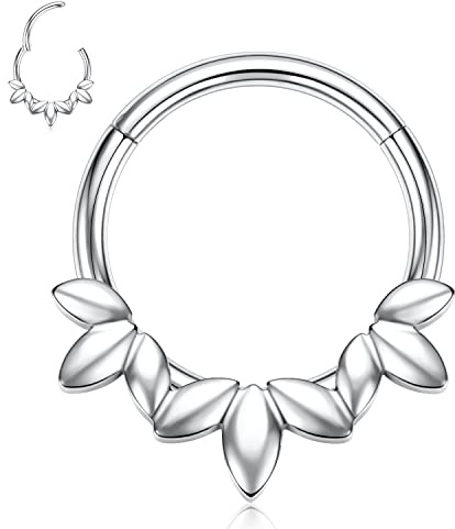 hengkaixuan 16G Septum Clicker Ring 316L Daith Ohrringe Rook Piercing Conch Jewe;ry Nasenring Hoop Higned Segment Seamless Clicker Ring Knorpel Tragus Helix Piercing Schmuck Kleine Creolen