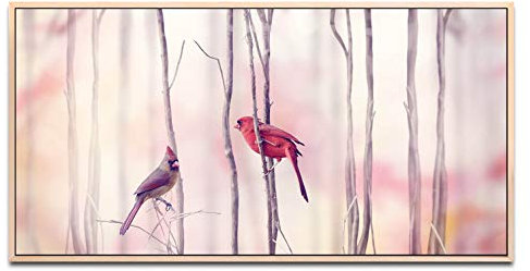Vögel auf Ästen ca. 130x70cm Wandbild inklusive Schattenfugenrahmen naturfarbend - Panorama Leinwand Bild XXL Format Wandbilder Wohnzimmer Wohnung Deko Kunstdrucke