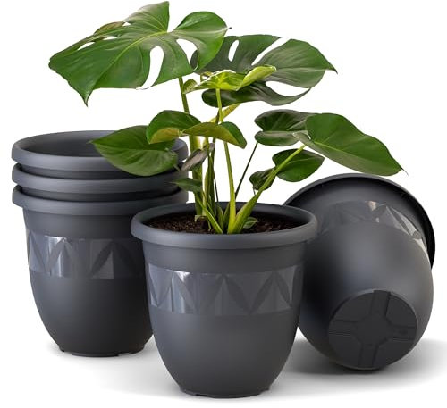 Plastard Übertopf 5er Set Durchmesser 21 cm Anthrazit Blumentopf für Innen und Außen aus Kunststoff Pflanztopf für Balkon Terrasse Pflanzkübel Kräutertopf'