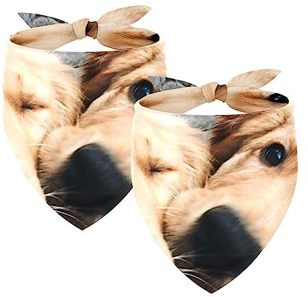 Hundehalstücher, 2er-Pack Haustierschal, Haustierzubehör, süße Welpenhalstücher,Tier Zwei Golden Retriever