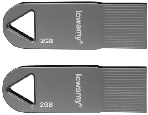 lcwamy 2GB USB Stick 2 Pack Flash Drive USB Memory Stick 2 Pack Bulk Black Metal Mini Flash Drives