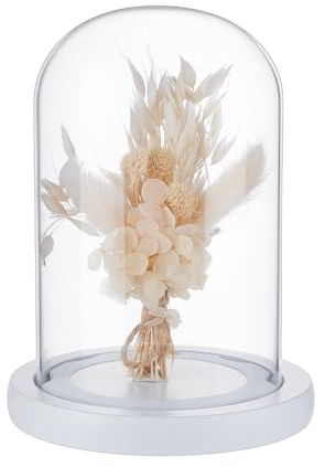 NBEADS Glass Display Dome Cloche, Eternal Flower Glass Dome Cover with Wood Base Anti-Shedding Design Arch Bell Jar Cloche for Centerpieces Plants Rocks Specimens Decorations Crafts, 125x170mm
