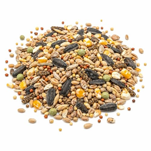 Superpet Premium Wild Bird Seed Mix with Black Sunflower Seeds and Safflower, Natural Bird Food for Bird Feeders, High-Energy Bird Feed for Small Garden Birds, 5kg
