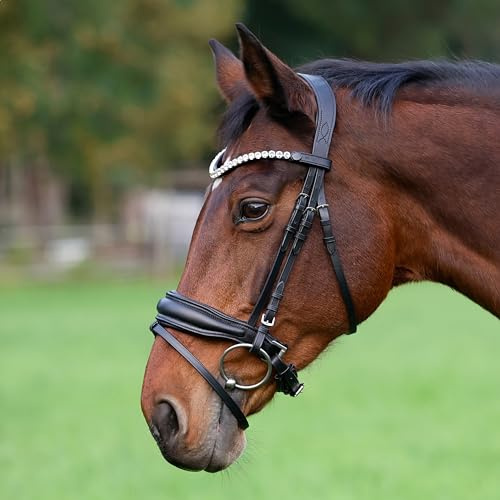 Heinick Trense Custom Schnallen Schwarz Schnellwechselsystem ~ Warmblut ~