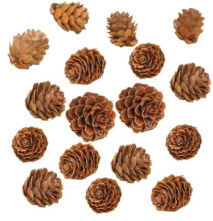 Alipis 210 Stücke Natürliche Tannenzapfen Groß 2-3cm Mini Ornamente für Weihnachten Dekorationen Thanksgiving