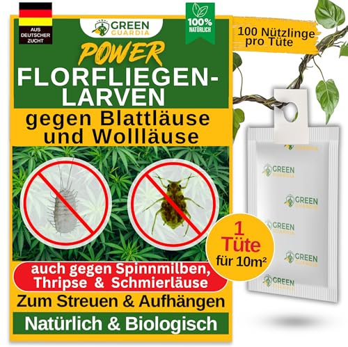 GREEN GUARDIA Potere larve di moscerini contro afidi e pidocchi di lana. 1 sacchetto. Agente biologico per efficace lotta contro afidi e pidocchi di lana.