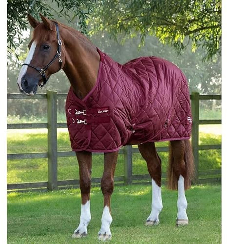 Premier Equine Stalldecke für Pferde Tuscan 200 g