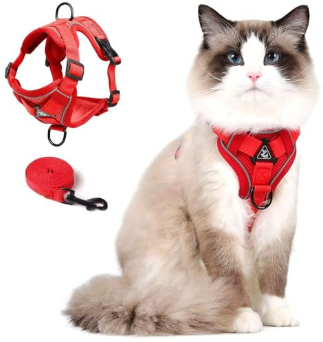 Cat Harness and Leash Set Katzengeschirr- und Leinen-Set, ausbruchsichere, verstellbare Weste mit Leine für Kätzchen und Welpen, weiche Netzjacke mit Reflektorstreifen (M, Rot)