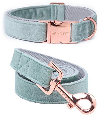 ARING PET Hundehalsband und Leine Set, Samt Hundehalsband und Leine, Verstellbares Halsband für Kleine Hunde Mittlere Hunde Große Hunde