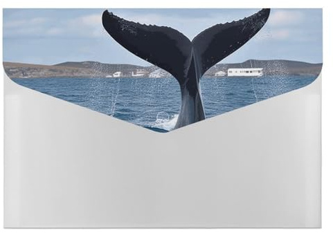 Carpeta de cola de ballena, resistente al agua, organizador de archivos de acordeón, a prueba de humedad, bolsillos expandibles, reutilizables, transparentes, archivos, bolsas, soporte para documentos