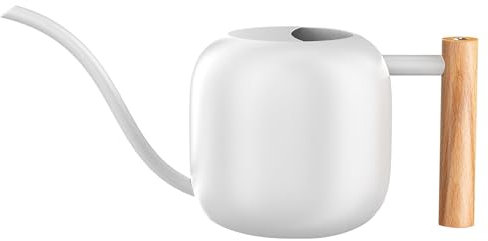 Losueeun Wasserkanne für Zimmerpflanzen, 1,2 L/41 Unzen, mit Langem Ausguss, Kleine Wasserkanne Aus Metall, Gießkanne für Zimmerpflanzen, Bonsai, Langlebig, Einfach zu Bediene