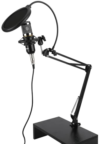 RiToEasysports Kit profesional de micrófono de condensador BM800 con brazo flexible para grabación de estudio (negro+negro)