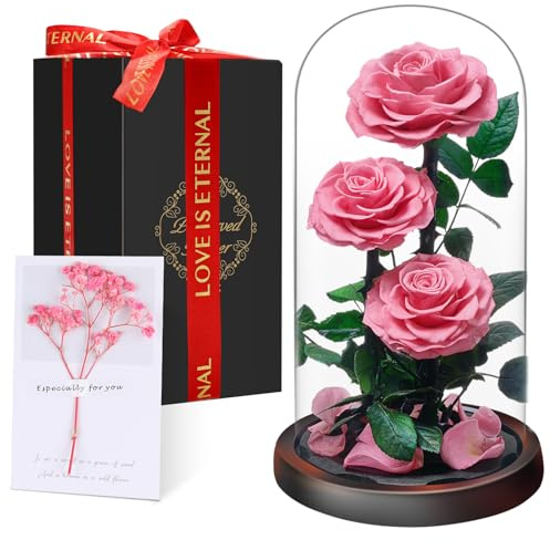 Valentinstag Ewige Rose im Glas, Drei Rosa Rosen, Konservierte Echt Blume für 5 Jahre, Infinity Rose, Geschenk für Frauen, Mama, Freundin, für Sie, zum Valentinstag, Jahrestag, Geburtstag, Muttertagn​