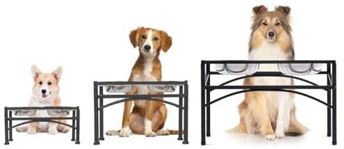TEKEPL Napfständer für Kleine, mittlere und große Hunde mit 2 Edelstahl Hundenäpfe, stabile Haustiere Futterstation, rutschfest Ständer Hundebar Halter für Wasser- und Futternapf, Fressnapf (L)