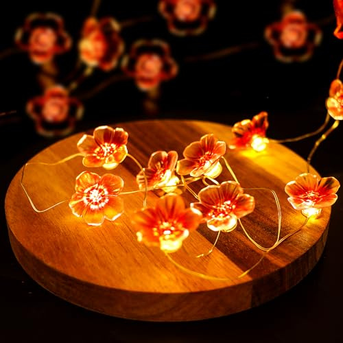 JOFONY Guirnalda de Luces LED con Diseño de Flores, Macarón, 2 m, 20 Ledes, Cadena de Luces con Pilas Sin Enchufe, Decoración para Festivales, Fiestas, Día de San Valentín, Bodas