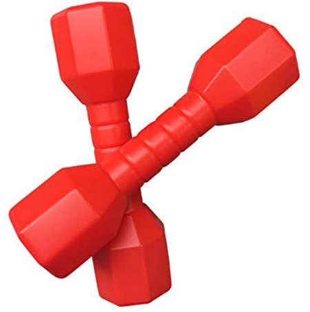 Faderr Juego de 2 mancuernas para niños, pesas de mano para entrenamiento de fuerza, juego de mancuernas multiusos para niños y niñas (rojo)