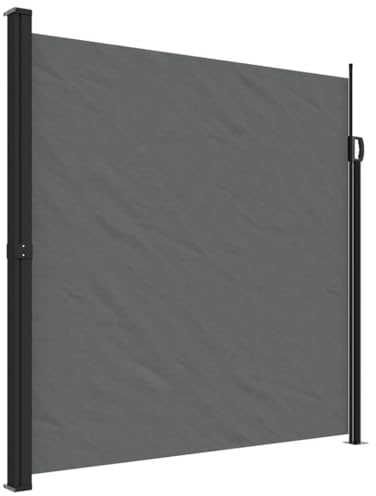 Pangshiyuan - Toldo lateral extensible, antracita, 200 x 300 cm, jiangboyue-4004368