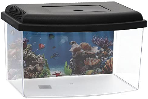 GarPet Mini Aquarium Terrarium Faunarium Zucht Becken klein Fisch Triops Garnelen Acryl Kunststoff Plastik mit Deckel Rückwandfolie