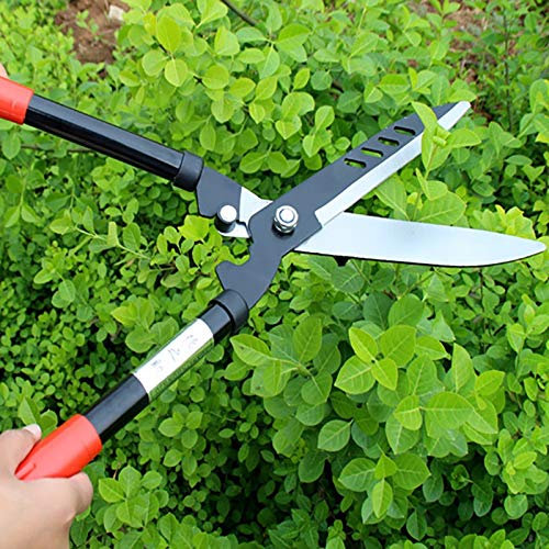 ATAAY Cesoie Professionali per potatura Bypass in Titanio di Alta qualità