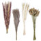 VELLUSTRA Decoración de Hierba de Pampas Seca, 100 Piezas de Hierba de Pampas con Colas de Conejo y Flores secas, Ramo de Hierba de Carrizo para Boda, Flores Boho Flores Secas, Ramo de Flores Secas