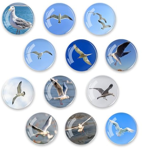 Yuqilin 12 Stück Magnete Kühlschrank,Tier Magnete Kinder Magnettafel Möwe Decorative Magnets 3D Lustige Refrigerator Magnets Rund 30 MM,für Whiteboards Kühlschränke Fotos（E）