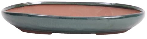 Bonsai-Shopping Bonsai - Schale, Waldschale, oval 31 x 22 x 5 cm grün 51332