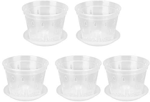 CHICIRIS Phalaenopsis - Maceta transparente para plantas de orquídeas con orificios, maceta de plástico transparente para un excelente drenaje, paquete de 5 unidades, para oficina, bar, jardín, 14 cm