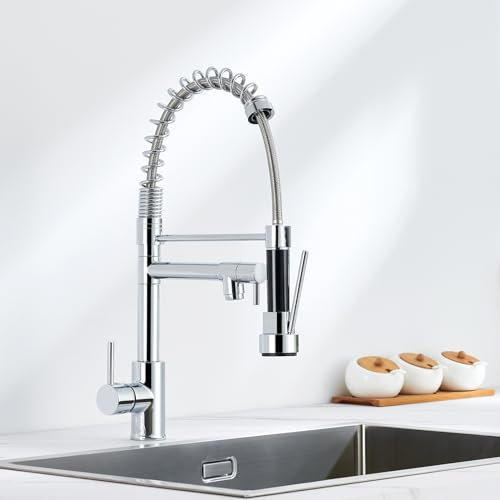 Auralum Wasserhahn Küche Ausziehbar, Küchenarmatur mit Zwei Auslauf & Zwei Strahlarten, 360° drehbar Mischbatterie Küche, Edelstahl Spültischarmatur mit Spiralfeder, Hochdruck Armatur für Küche