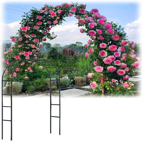 Gartenlaube aus Stahl, Rosen-Pergolabogen aus Metall für Verschiedene Kletterpflanzen, Hochzeitsgartenbogen, Brautparty-Dekoration, breite Laube (schwarz, 120 x 220 cm)