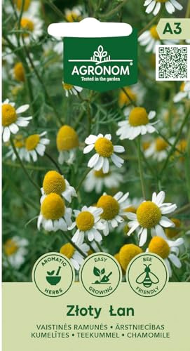 AGRONOM | Kamille - ZLOTY LAN samen | Blumensamen | Kamillesamen | Einjährige Heil, Zier und bienenfreundliche Pflanze | 1 Pack
