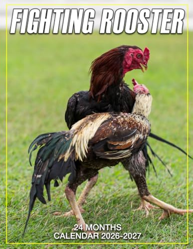 Fighting Rooster Calendar 2026 - 2027: Keep Life Organized With Monthly Planner Jan 2026 To Dec 2027 Beautiful Photography Us Holidays Ready To Gift