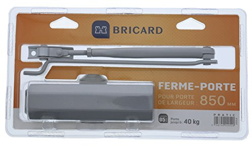 Bricard 2052 Ferme porte hydraulique force 2 Argent