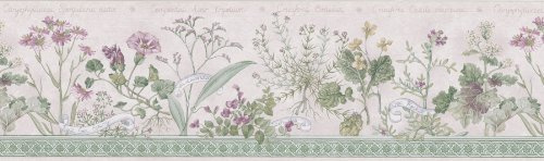 Brewster 418B328 Borders and More Flower Naming Wall Border, 6.8125-Inch by 180-Inch