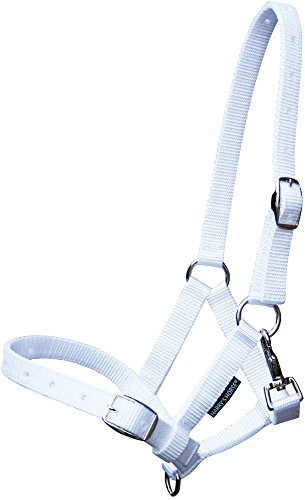 Harry's Horse 31000300 Foal Halter, White