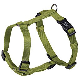 Nobby Geschirr Classic, lindgrün Brust: 50/70 cm, B: 20 mm, 1 Stück