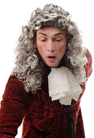 WIG ME UP - AD-002-P4T309 Perücke Herren Damen Fasching Karneval Braun Grau Silbergrau Vokuhila Mullet Proll lockig Barock Edelmann Judge Richter Lord
