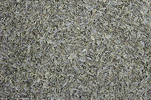 1000Kräuter Dillsaat Dillsamen Dill Saat Samen ganz (100g)