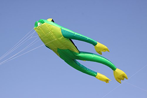 Wolkenstürmer® Fritz The Frog - Grüner Froschdrachen Einleiner Drachen ohne Gestänge für Einsteiger - 3D Drachen mit Spule & Polyesterschnur auf Spule