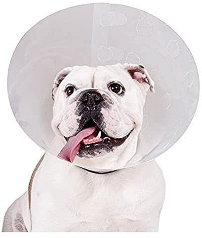 KVP Überprüfen Pet Recovery Halsband