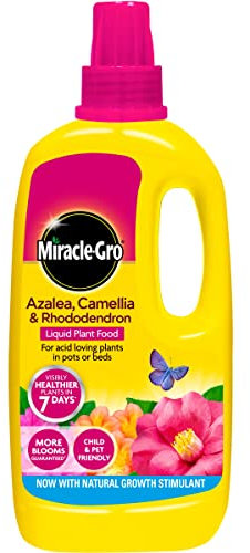 Miracle Gro Azalea, Camellia & Rhododendron Liquid Plant Food 1L